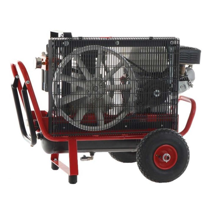 Lisam LM 500/10 KIT HOBBY 2 Operatori -moottorikompressorisarja oliivien poimintaan, 5,5 HP, 10 l