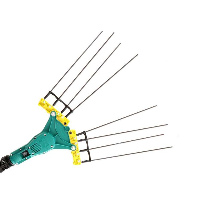 Zanon Falcon AL 200/F sähköinen oliivinkaristin, 12 V, teleskooppivarsi 170–250 cm
