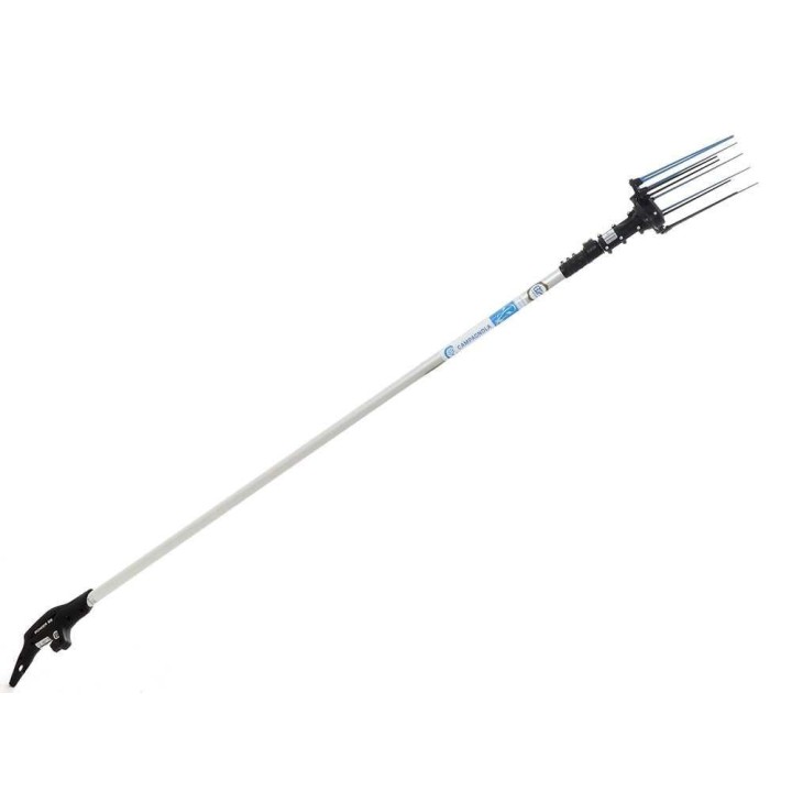 Campagnola Nuovo Holly 58V -akkuoliivinkerääjä, 350 W, 185–270 cm