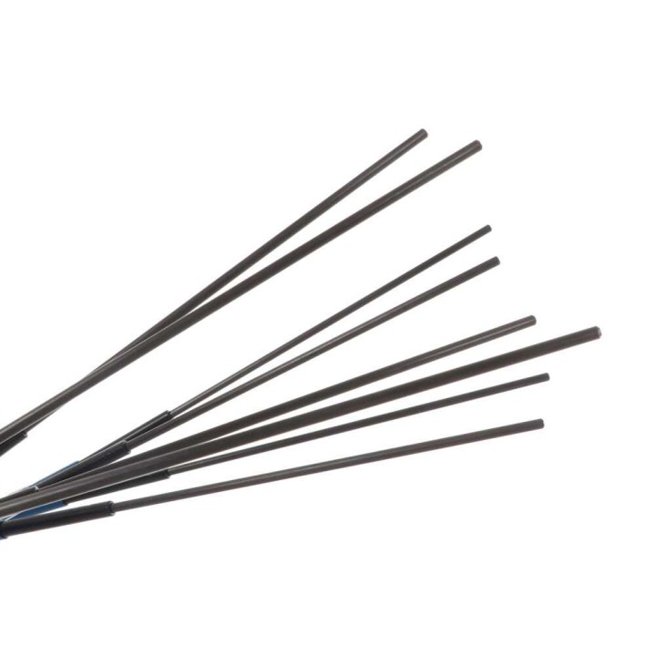 Paterlini OLIVELOX BA 3 sähköinen oliivinpoimuri, 12 V, 225–315 cm