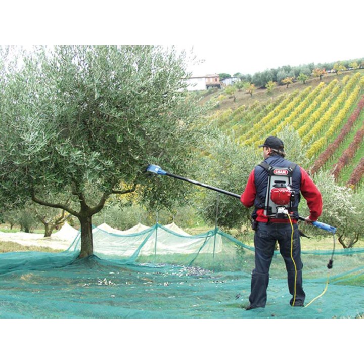Lisam Oliwatt 2 oliivinkorjuukone, 12 V, 325 W, 280 cm