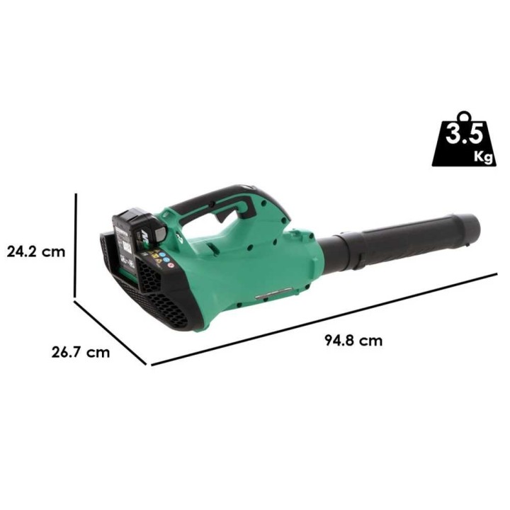 Hikoki RB36DAW4 -akku-lehtipuhallin, 36 V, 2,5 Ah