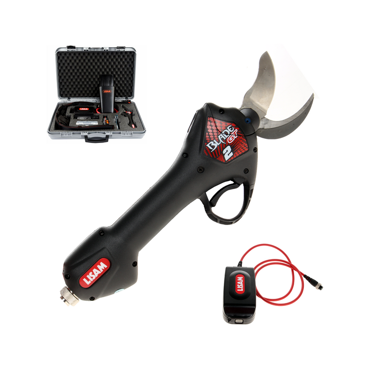 Lisam BLADE GT 2 akkasakset 50 4 V 2 9 Ah