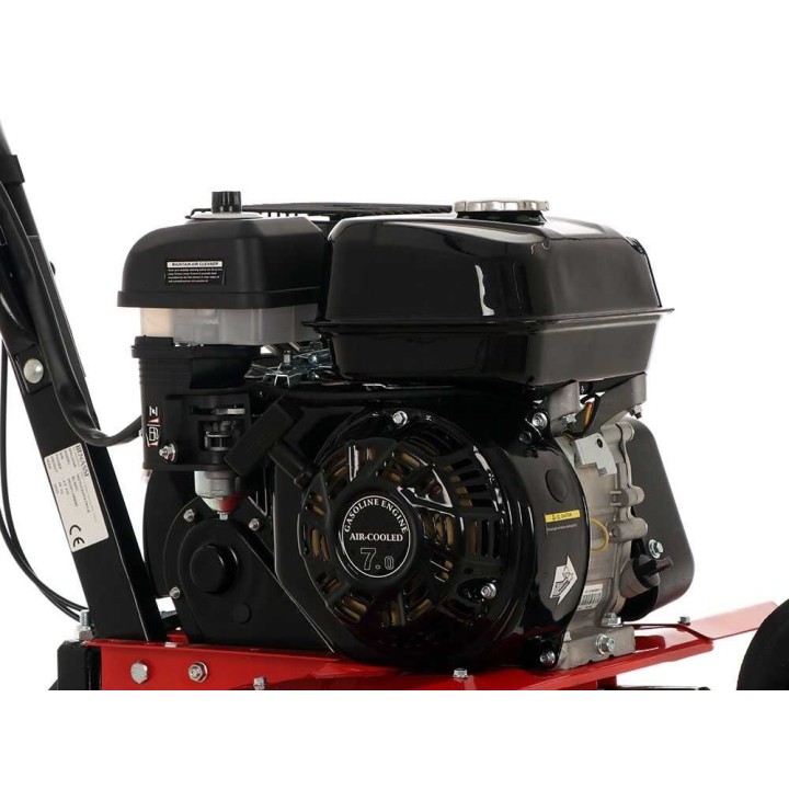 Benassi BL365 C bensiinijyrsin, 7 HP, 60 cm, Hwasdan H170F, 1+1-vaihteisto