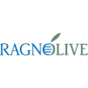 RagnoOlive