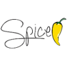 Spice Electronics